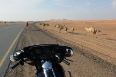 Motorradreise-Dubai-UAE-08